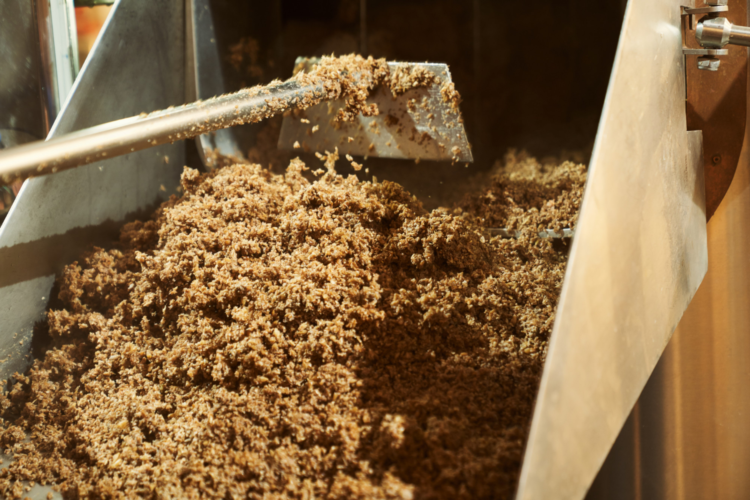 Spent grain conveyor for breweries