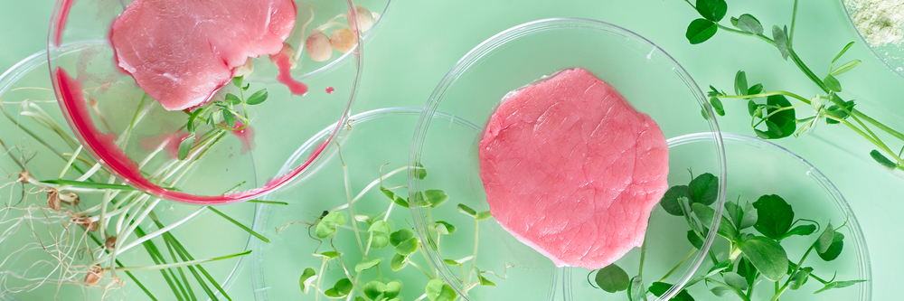 Cultivated meat measurement & control Equipment
