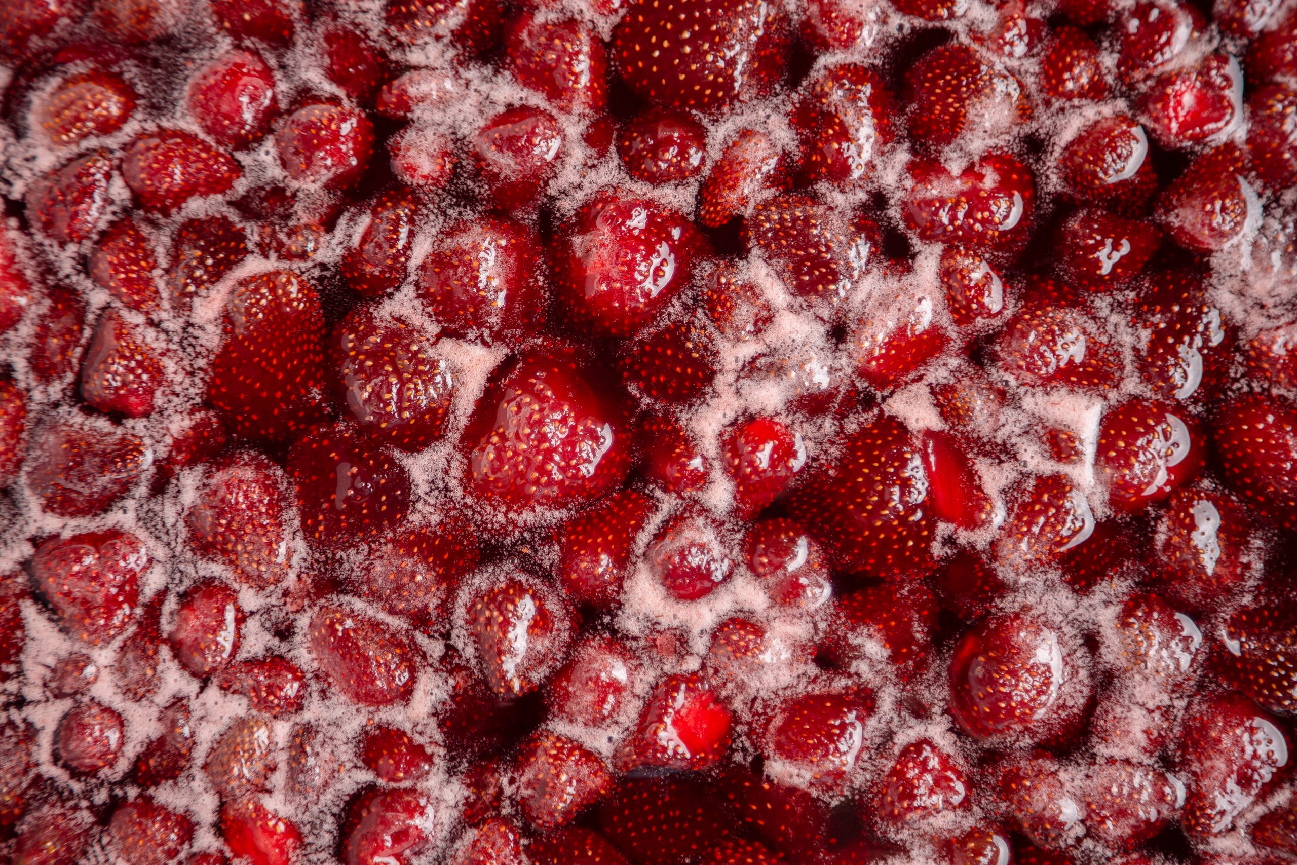 Let's find jam processing equipment
