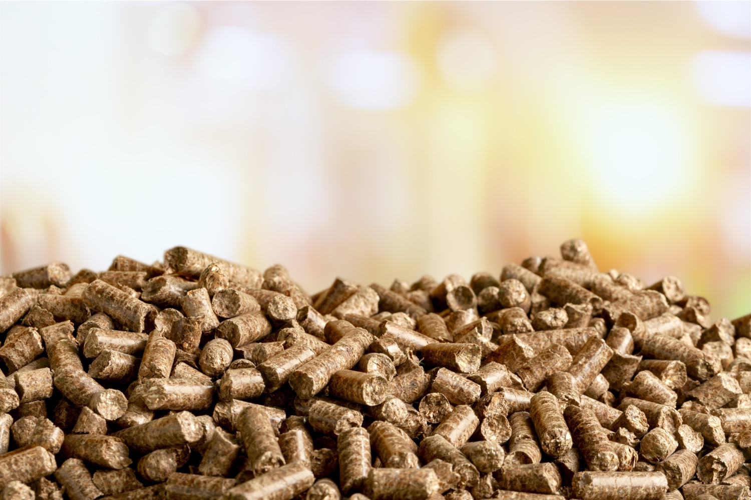 Let's make wood pellets
