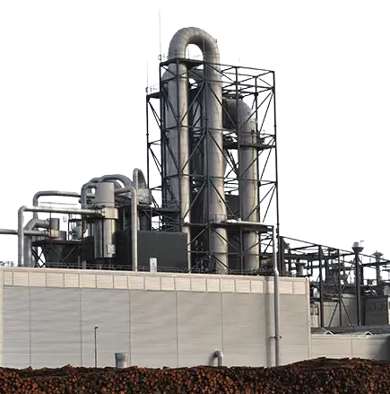 Energy efficient steam dryer for feed products