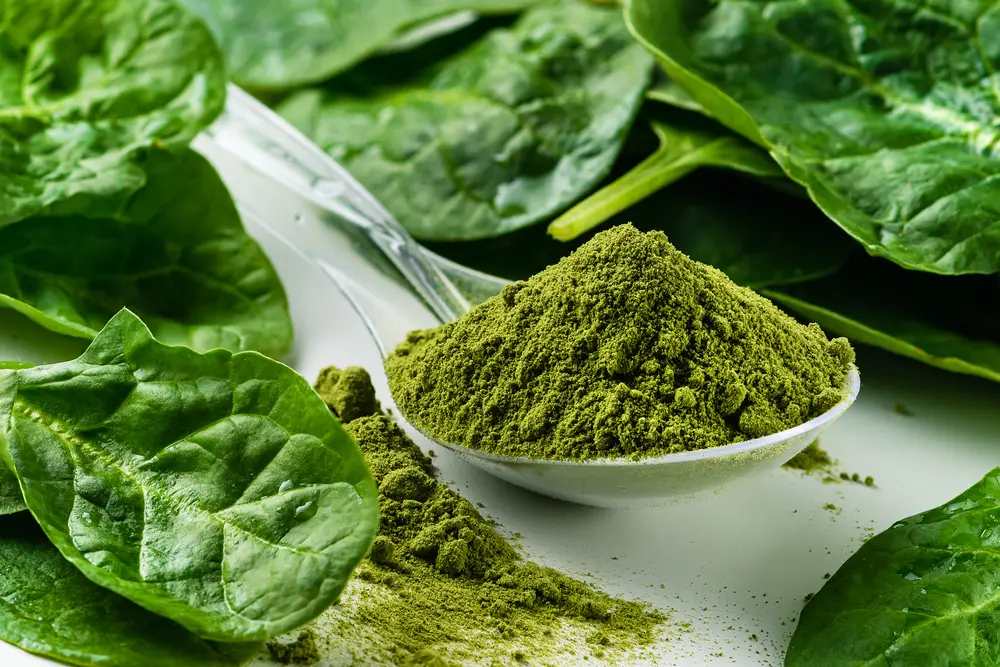 Find technology for processing vegetable powders