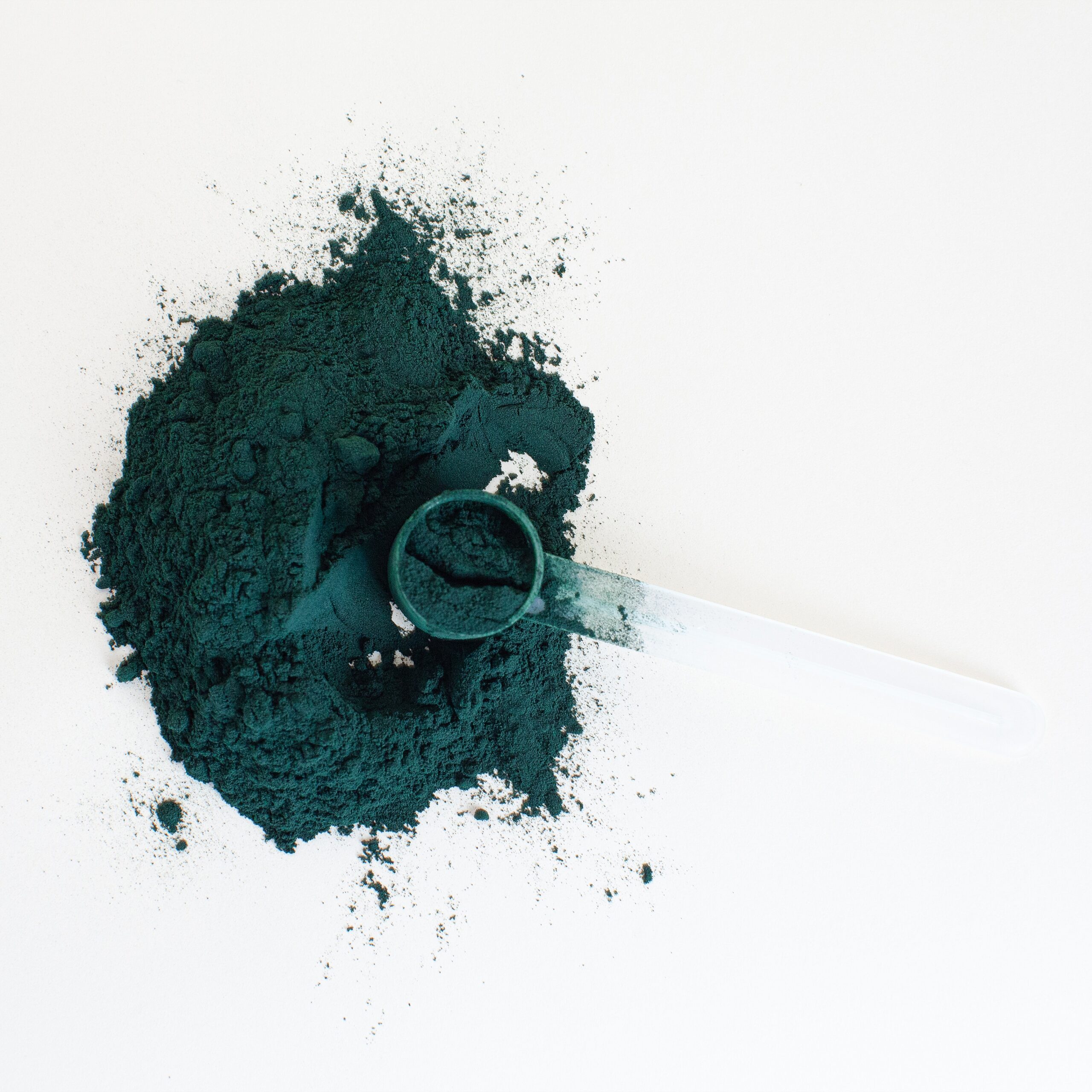 Find technology for processing spirulina powder
