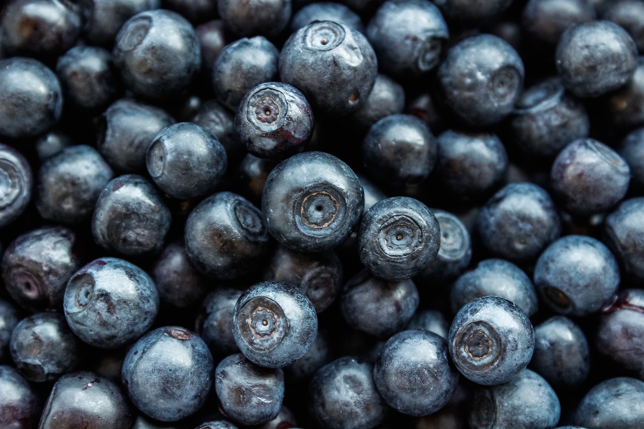 Blueberry sorting for consistent quality control