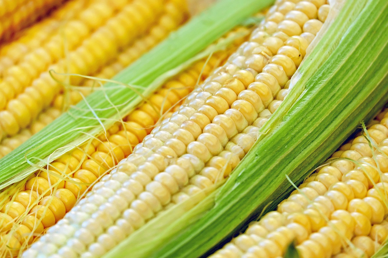 Corn cooking systems for tortilla chips