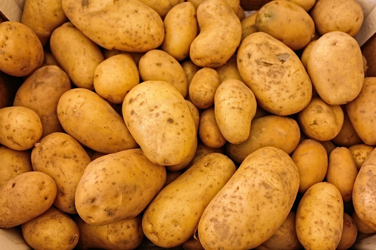 Steam peeler for potatoes and fruits