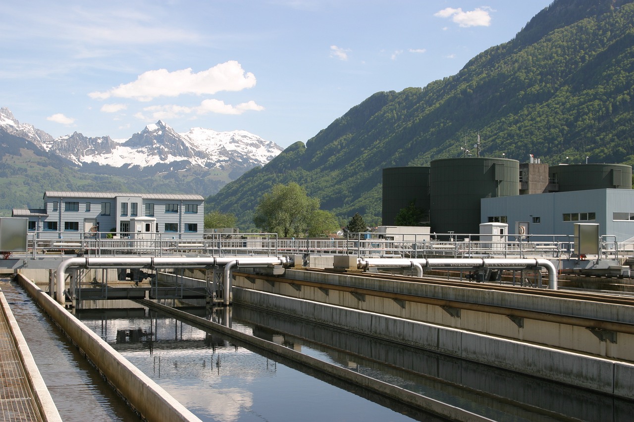 Screenings compactor for waste water treatment