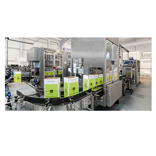 Automatic case erector for cartonboard packaging