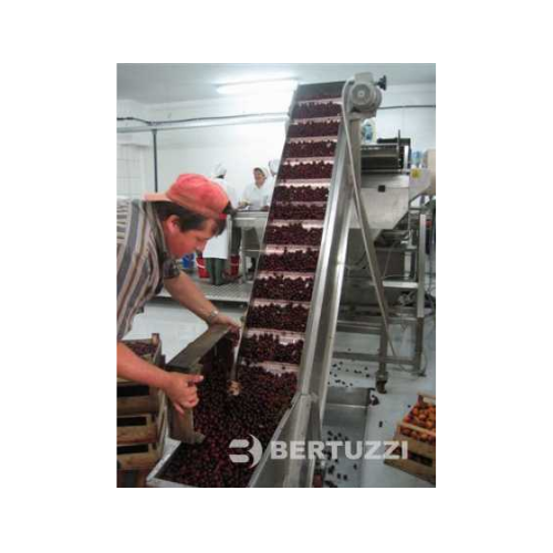 Industrial jam processing line for fresh fruit or puree