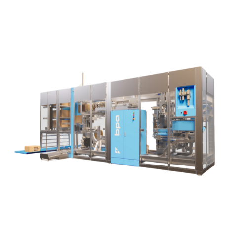 High-speed case packer for snack bags