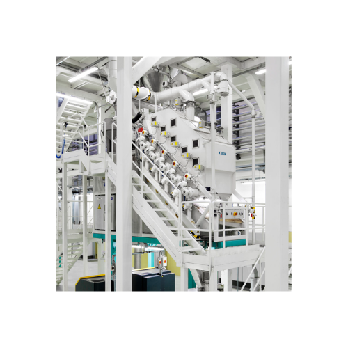 Winnowing system for cocoa processing