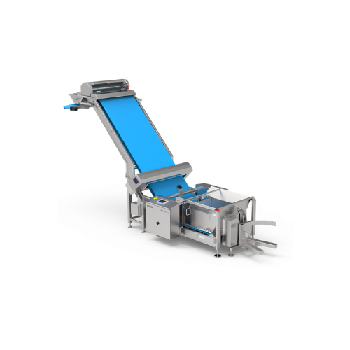 Dough feeder for biscuit and cookie production