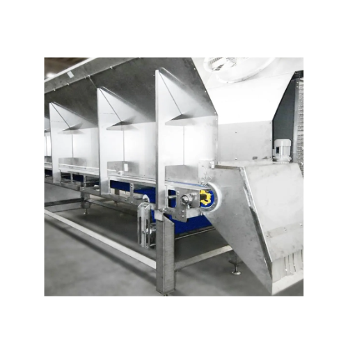Fluidized bed freezer for fruits and vegetables