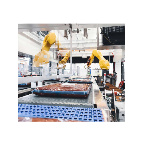 Robotic case packers for bags and pouches