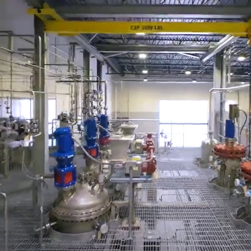 Renewable diesel pretreatment system