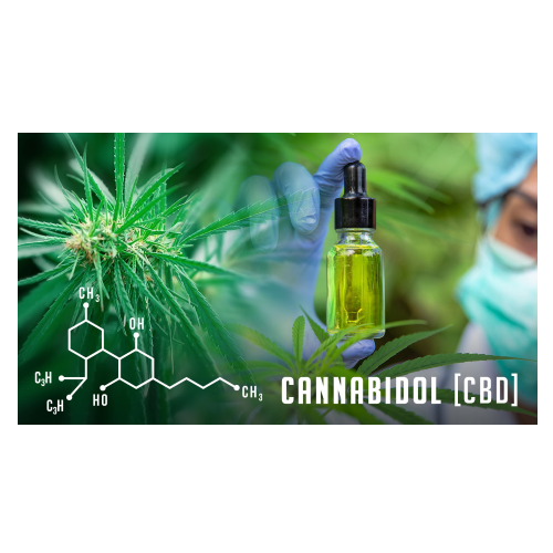 Hemp Cbd oil extraction system