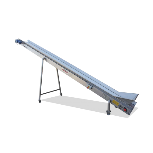 Conveyor belts for grape processing