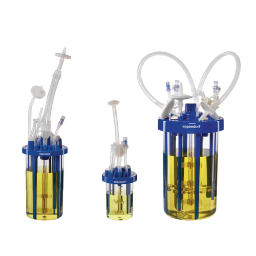 Single-use bioreactors for microbial fermentation