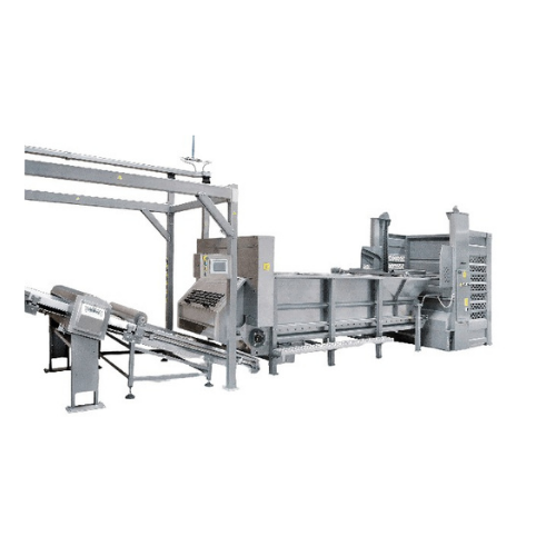 Dough feeding system for biscuits and cookies