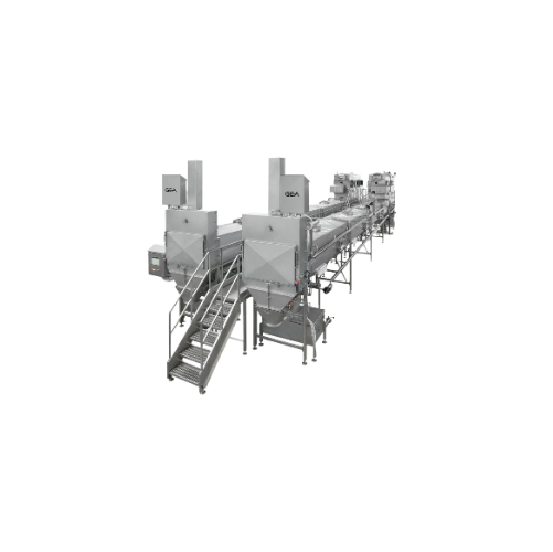 Continuous curd drainage and maturation systems for pasta filata cheese