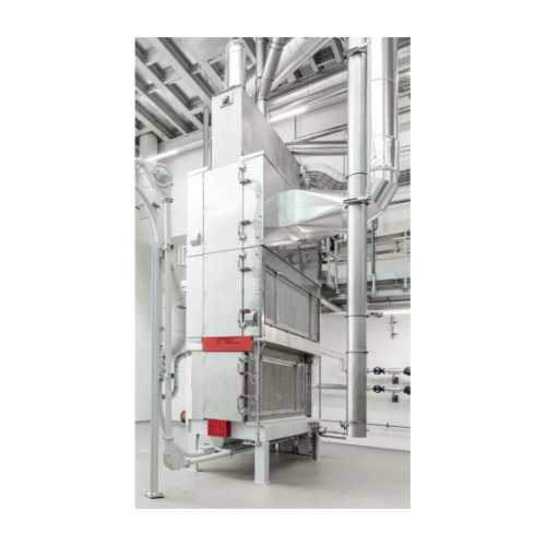 Continuous cocoa bean roaster