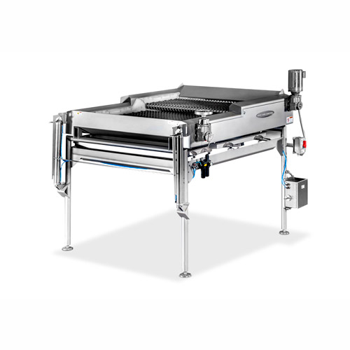 Rotary chip sizer for potato chips