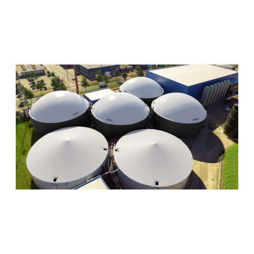 Organic waste biogas plant