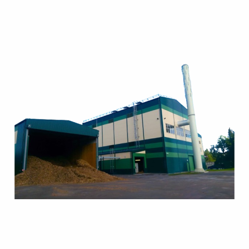 Biomass-fired heat and power plants for industrial applications