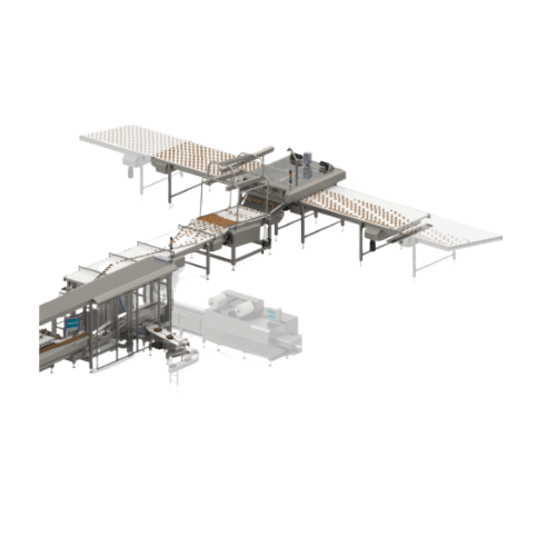 Automatic loader for irregular shaped cookies