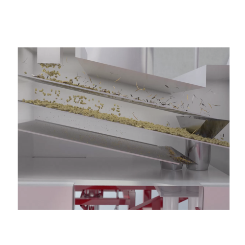 Green coffee cleaning and sorting systems