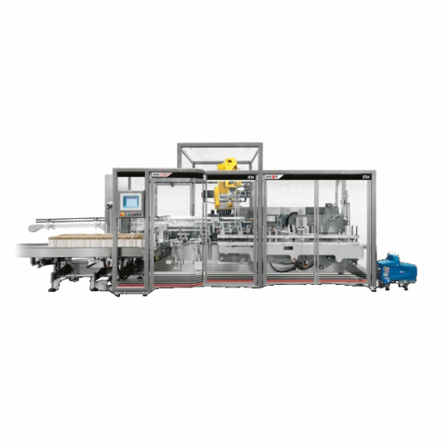 Top loading case packer for loose or bundled bottles