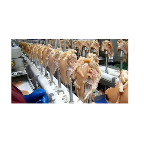 Poultry cone deboning line