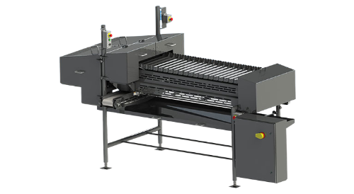 Tender tendon remover for poultry processing