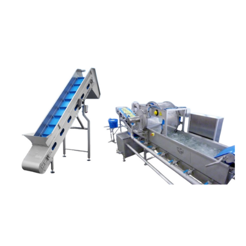 Salad processing line for fresh cut vegetables