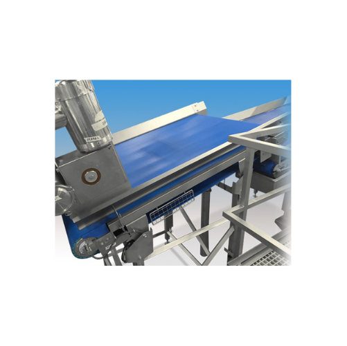 Weighing conveyor for consistent product flow in food processing