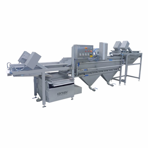 Industrial raisin washing system