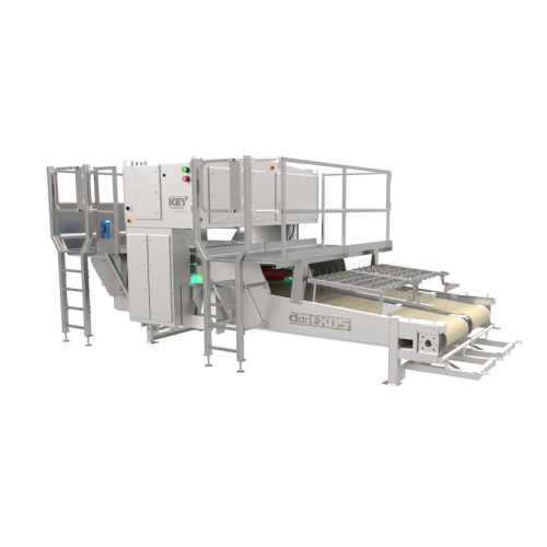 Inspection systems for poultry and seafood processing