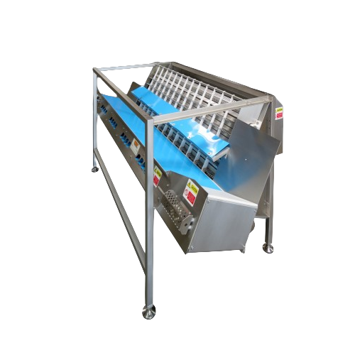 High-performance food processing and sorting solutions