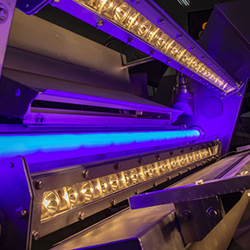 Optical sorter for blueberries
