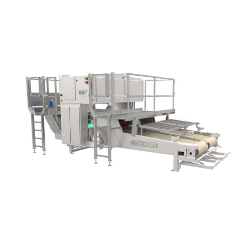 Automatic defect removal for french fries