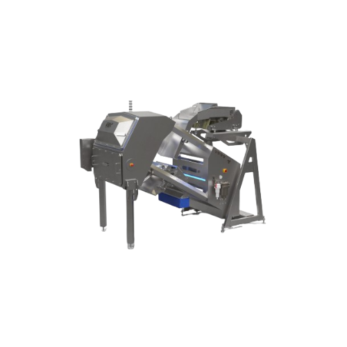 Optical sorter for food processing