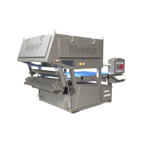 High-capacity optical sorter for food processing