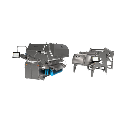 Optical sorting platform for food processing