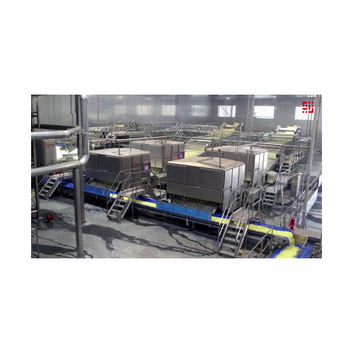 French fry and coated french fry processing line