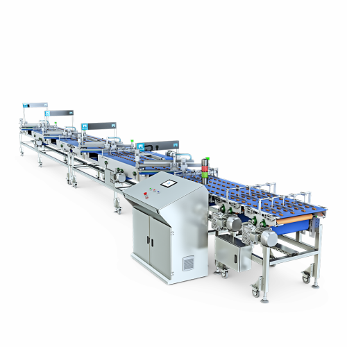 Automatic chocolate feeding conveyor