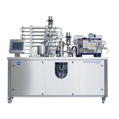 Direct steam injection system for heat treatment