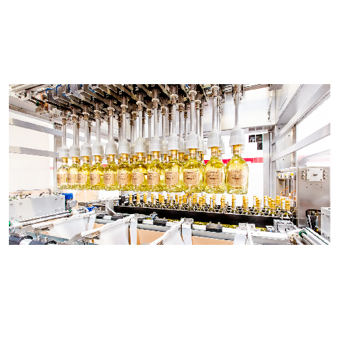 Automated case erector for Rsc cartonboard