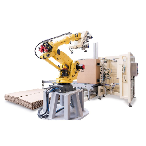 Automated case erector for large boxes