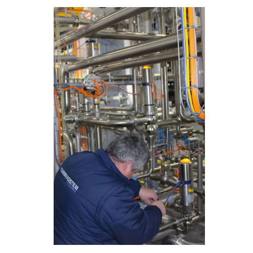 Automation for food processing