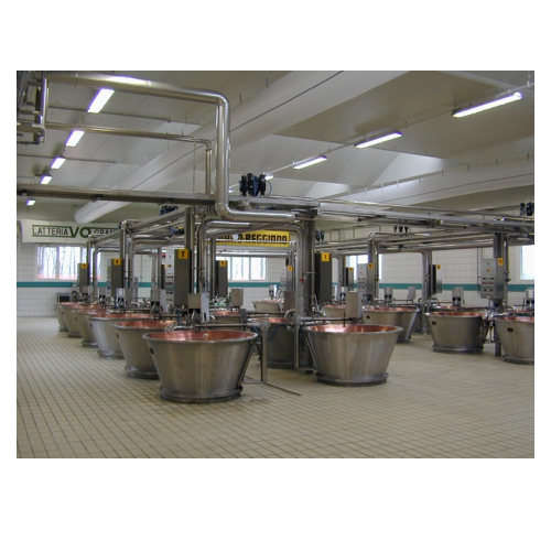 Steam cooking system for dairy production